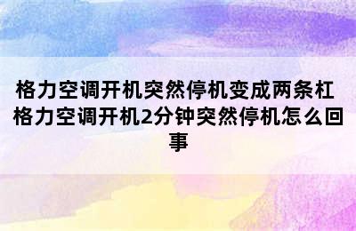 格力空调开机突然停机变成两条杠 格力空调开机2分钟突然停机怎么回事